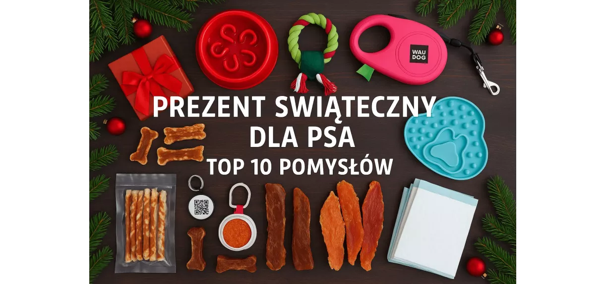 Prezent dla psa na święta  - TOP 10 pomysłów